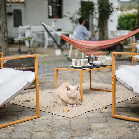 Domaine Castelnaut Et Chateau *